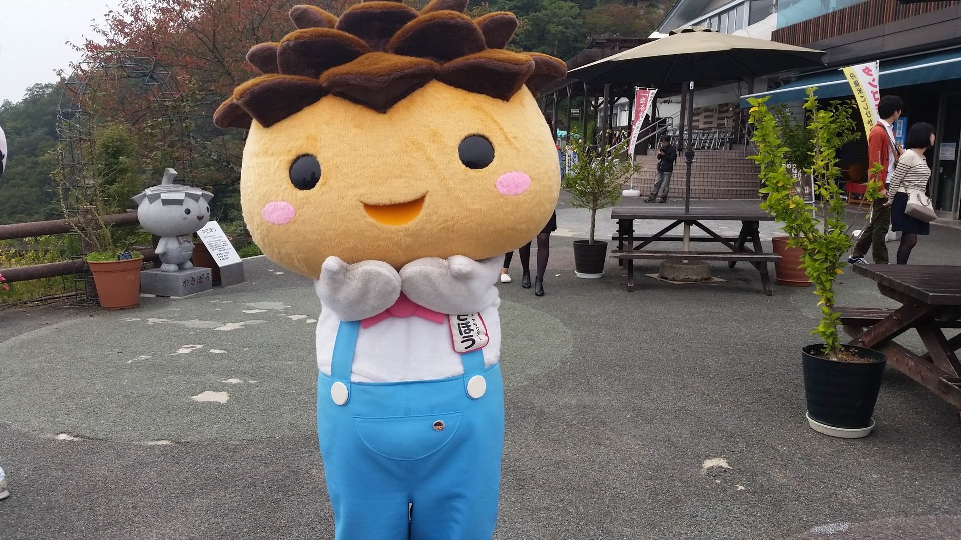 傘松公園キャラクター かさぼう 記憶 記録 想い出帳